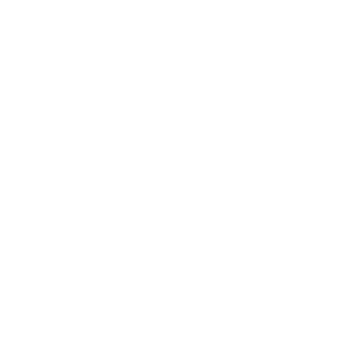 Treze